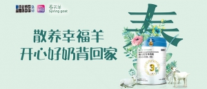 春天羊