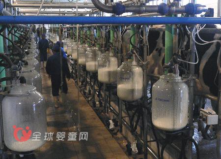 中国乳业应冷静思考行业之忧