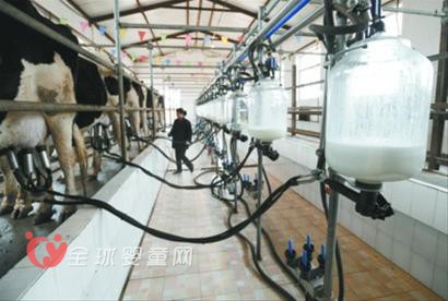 太原市加强生鲜乳质量安全监测