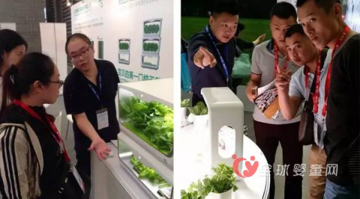 麻麻汇亮相国际婴童展   解决果蔬食用安全的次世代产品