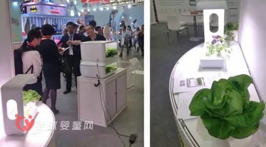 麻麻汇亮相国际婴童展   解决果蔬食用安全的次世代产品
