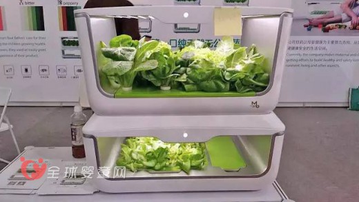 麻麻汇亮相国际婴童展   解决果蔬食用安全的次世代产品