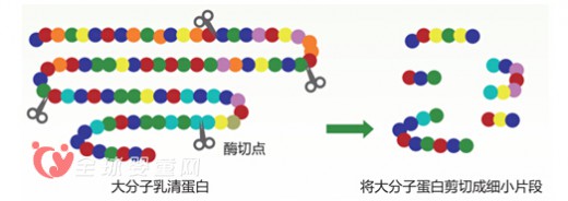 高培100专利水解乳清蛋白 与您相约CBME婴童盛会