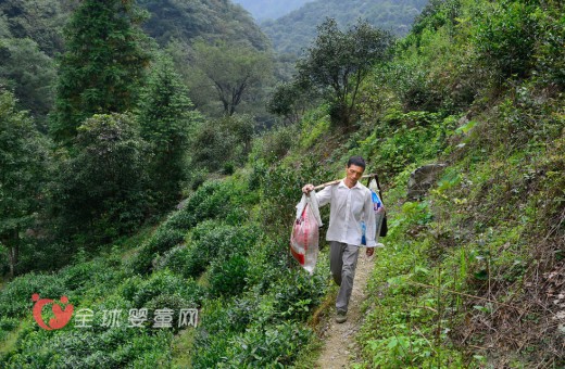 扁担教师教书三十余年 年年挑新书走山路