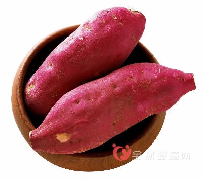 孕妇养胎吃什么 三大食品超给力