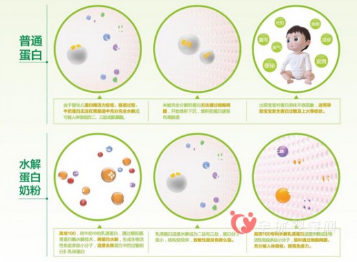 高培100专利水解蛋白奶粉科普行动开启 给宝宝健康知识