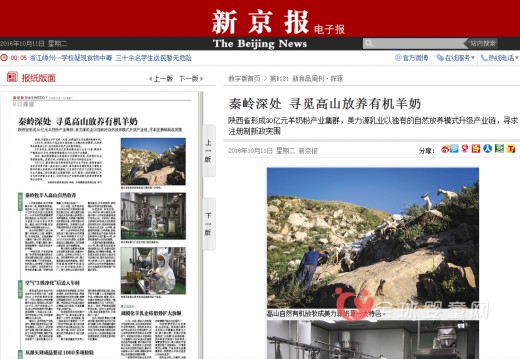 新京报专版报道美力源有机奶源