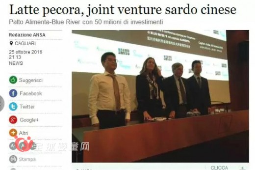 中国企业布局全球绵羊奶产业链 市场竞争势不可挡