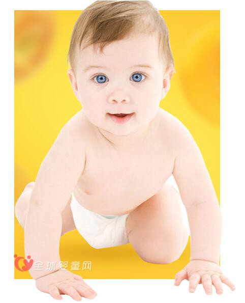 启智爱佳婴幼儿营养素邀你来代理
