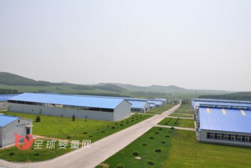 完达山乳业怎么样 奶源在哪里