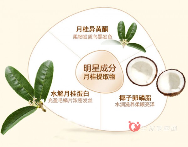 福孕妈咪孕妇洗发水   为妈咪打造柔顺闪亮秀发