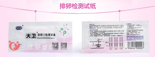 备孕的关键 找准排卵期