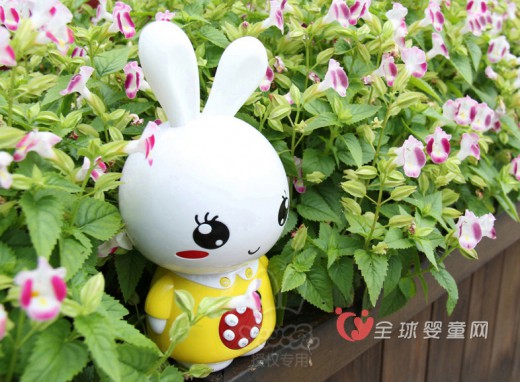 火火兔阿李罗F1虫虫兔 带宝宝领略美好的早教时光