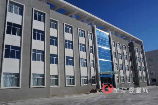 国际纸业公司收购惠好公司旗下纸浆生产业务 涉及纸尿裤制作