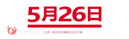 娃娃也可以学编程啦 小萝卜机器人5月26日登陆京东