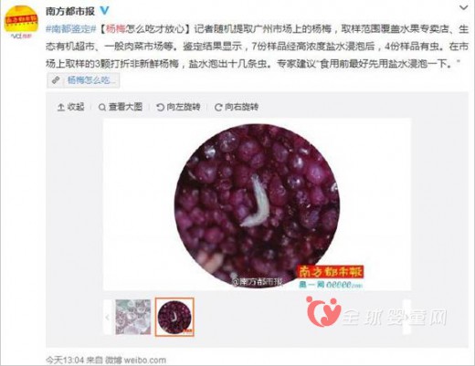 爱乐母婴月子中心：杨梅中枪 孕期洗净水果健康吃