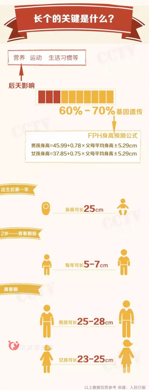 宝宝的身高究竟有什么样的奥秘呢
