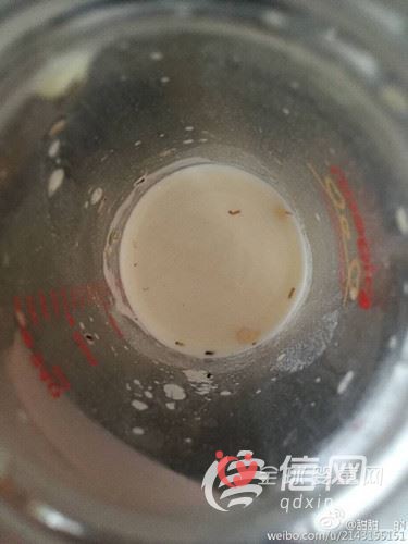 雅培奶粉惊现活虫 奶粉屡陷安全门谁之责