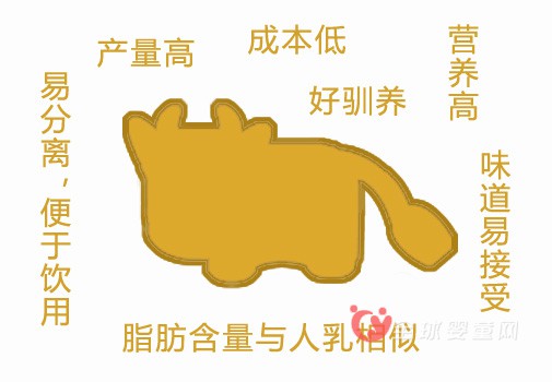 “蟑螂奶”是否成为人类新奶源   “蟑螂奶”你敢喝吗