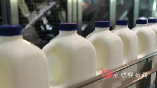 我国全面加强巴氏奶监管措施 澳乳企开始慌了