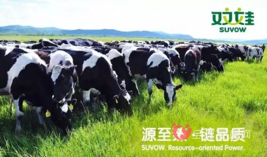 双娃生产、销售会议在京召开，传递品质的声音