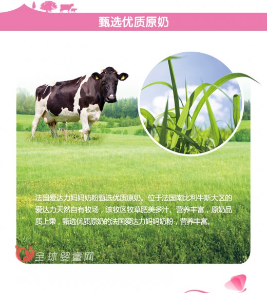 爱达力孕妇奶粉：呵护孕期每一天