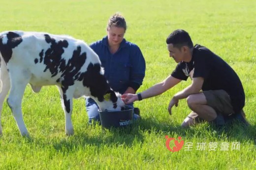 母婴行业首次尝试海外直播 澳优乳业打造新营销