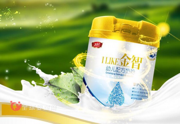 美庐金智幼儿配方奶粉   12-36月龄的宝宝食用几段奶粉