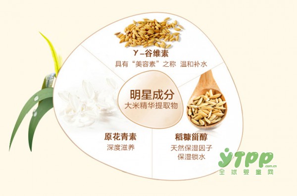 植物主义孕妇纯保湿天然蚕丝面膜  大米精粹补水 长效润泽
