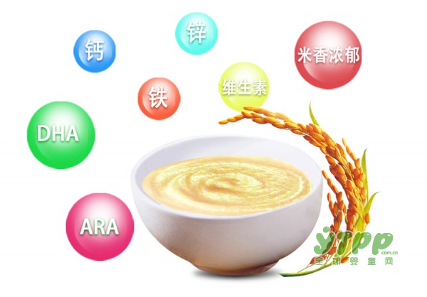 施百利益生菌有机米粉  U哺有机配方  全面营养更健康