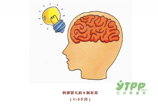 如何让宝宝更聪明？美国儿科学会教你这样带孩子