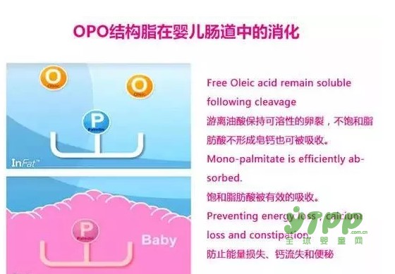 OPO配方的营养价值有多高？ OPO 配方有什么好处？