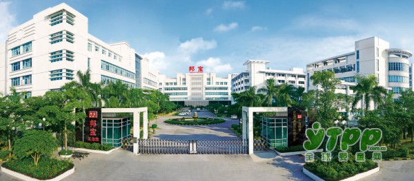 邦宝益智与麦杰克小镇强强联手，早教玩具产业又现新浪潮