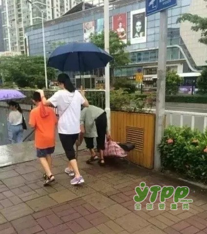 再好的名校 比不上父母对孩子的言传身教 看看这些家长是如何教育孩子的