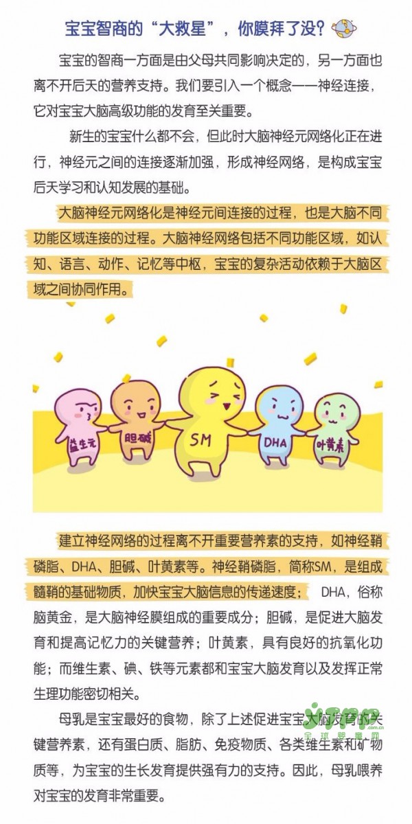 宝宝的智商是由谁决定的？ 爸爸还是妈妈？