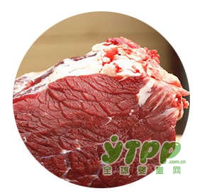 酥宝宝肉松好不好  一起来详细唠唠这些原料好在哪里吧