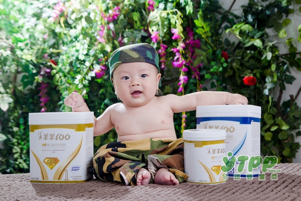 羊羊100羊奶粉好不好  呵护宝宝健康成长