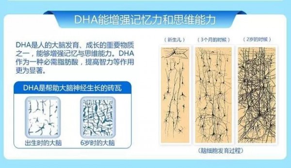 什么是DHA  南京同仁堂DHA藻油凝胶糖果：DHA的作用有哪些