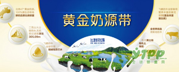 外媒称飞鹤奶粉计划在港上市   飞鹤乳业反驳：暂无上市计划