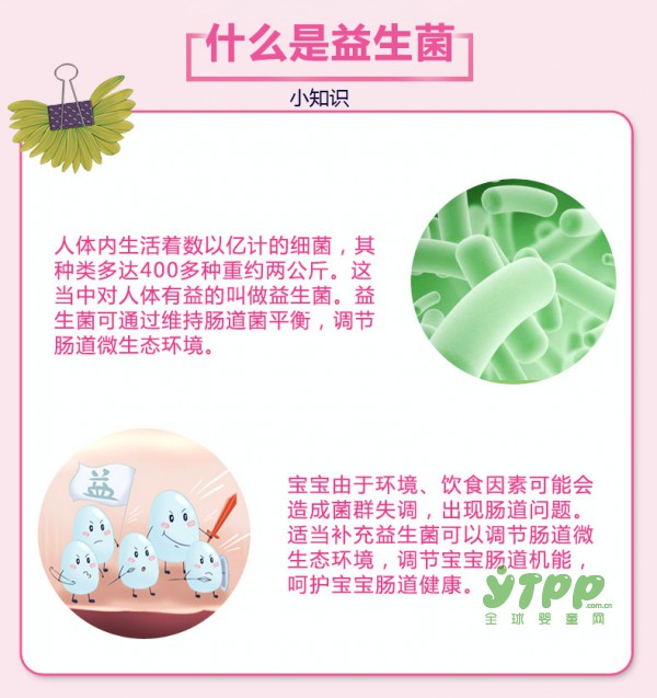 伊可新伊儿敏益生菌粉固体饮料   助力健康