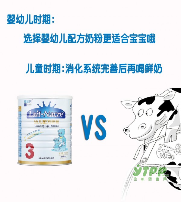 鲜奶和奶粉，到底应该选哪个？