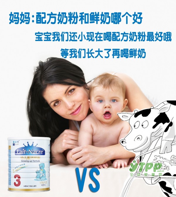 鲜奶和奶粉，到底应该选哪个？