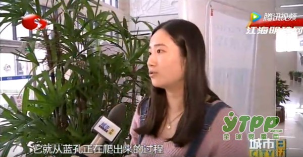 高洁丝品牌卫生巾惊现活虫 消费者维权拒绝一赔十