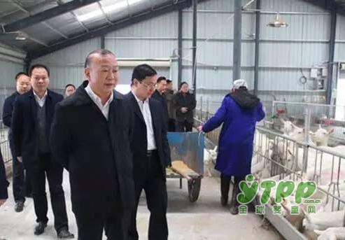 城步县委书记罗建南到御宝南方牧场调研及现场办公