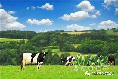 安宝乐：中澳全产业链自有澳洲牧场  保障奶粉质量