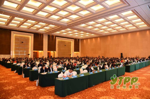 中国玩具行业出口与进口实现“双增长”：中国玩具行业将进入发展新时期