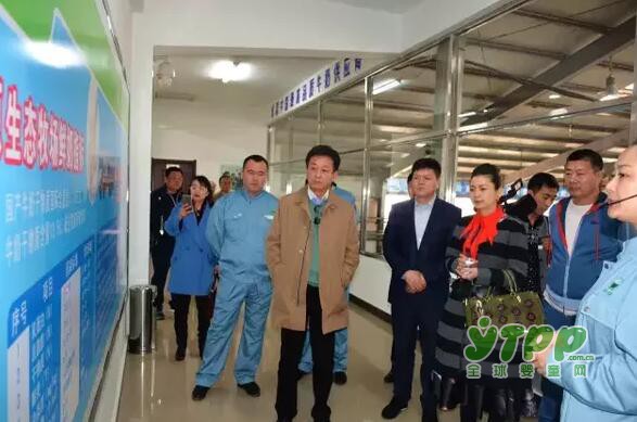 著名主持人朱军携妻子参观飞鹤乳业  见证飞鹤奶粉“更适合中国宝宝体质”优势所在