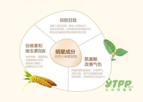 纤百瑞小米滋养睡眠面膜：双重调理滋养 尽享平衡之力