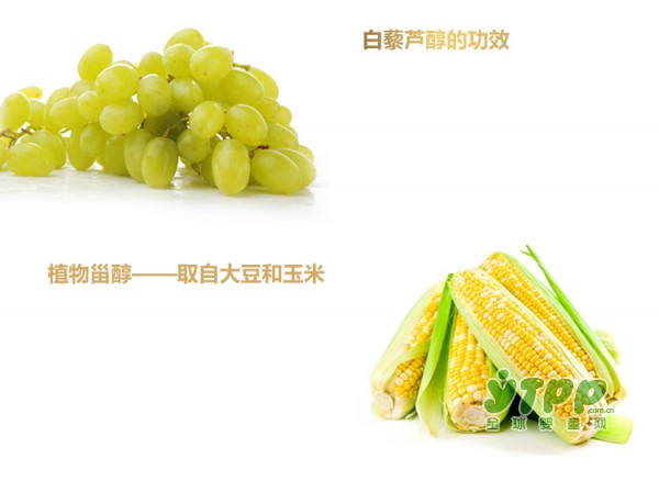 萃芙理孕妇弹力保湿乳液：还原肌肤弹性 守住孕妈妈的青春
