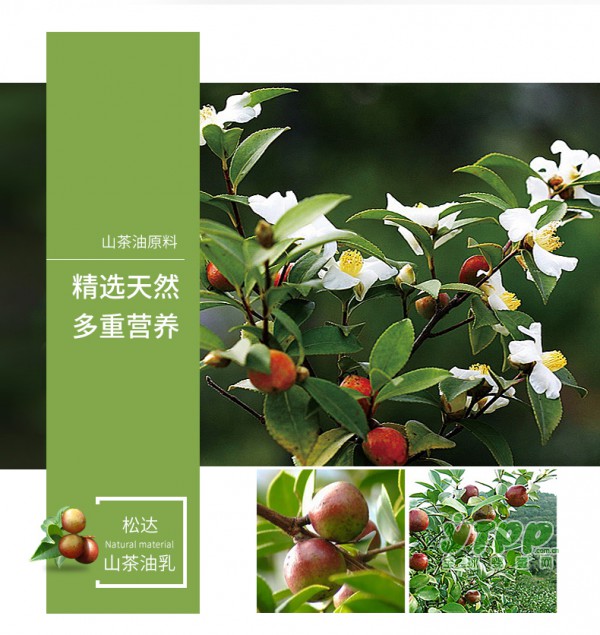 松达婴儿护肤山茶油 滋润保湿温和护肤